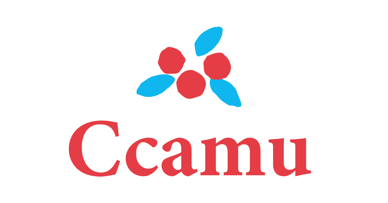 株式会社イー・エス・エス  Ccamu Papawash