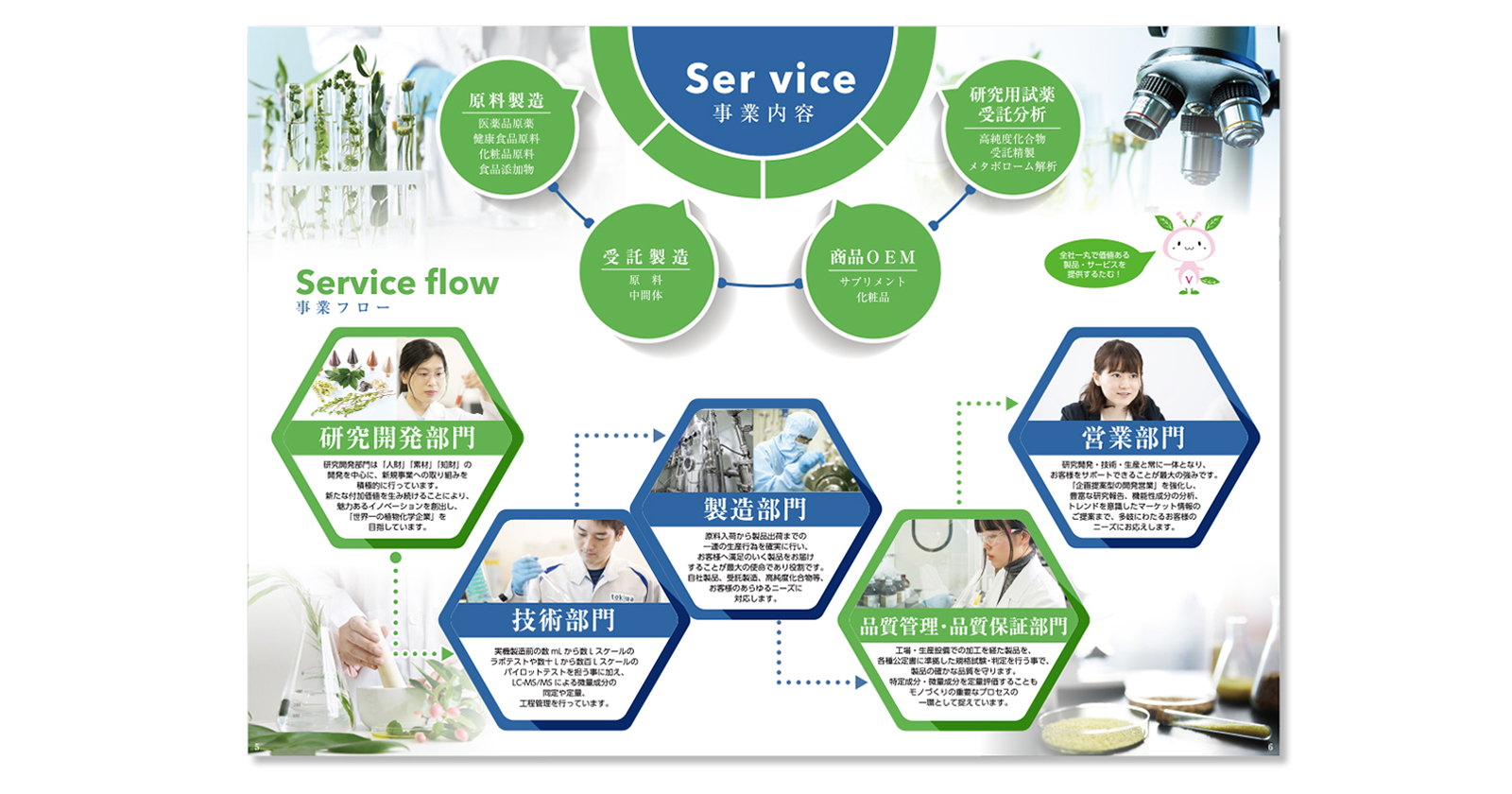 常磐植物化学研究所 会社案内